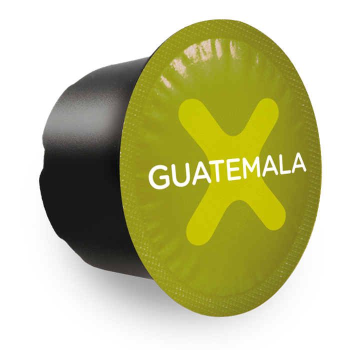 Xelecto Guatemala