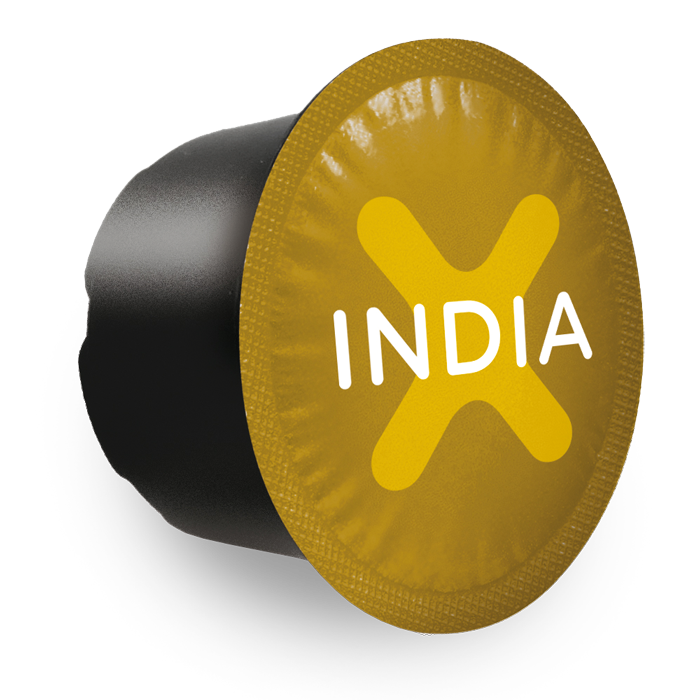 Xelecto India