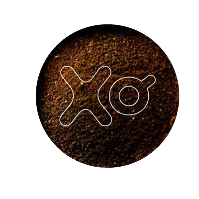 Xelecto